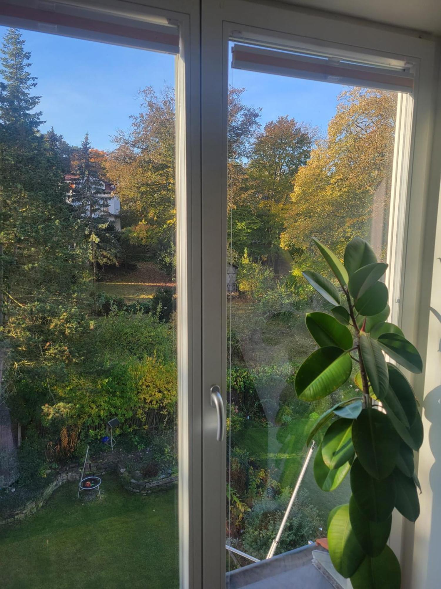 Appartement Wohnen Am Steiger In Sued Erfurt